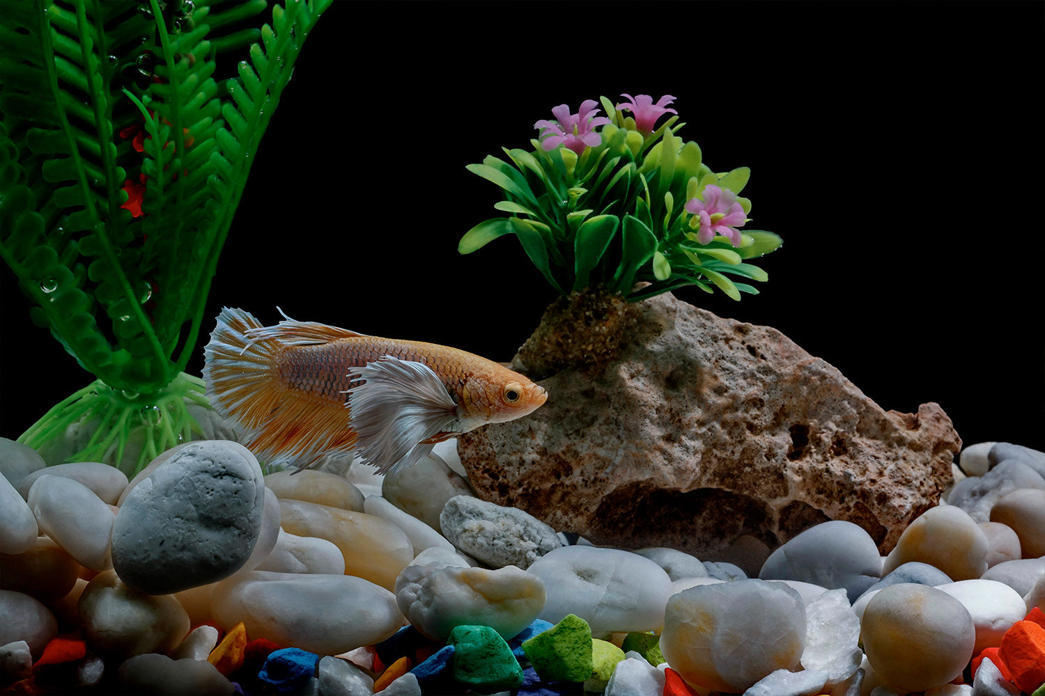 Aquascaping Essentials: How to Build a Natural and Balanced Underwater Landscape